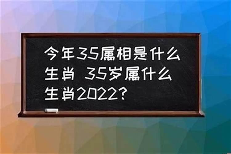 35岁属什么生肖的2019