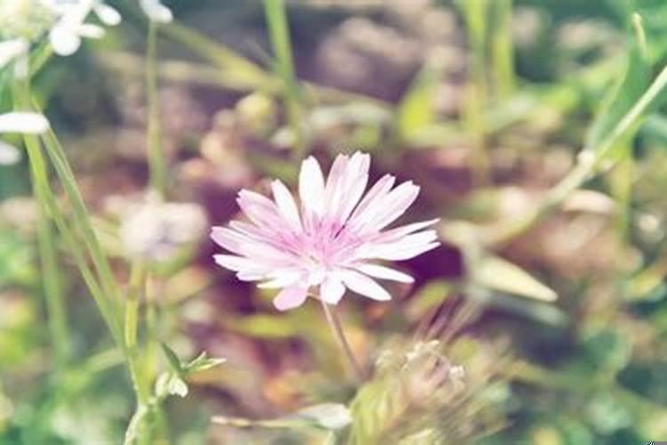 婚姻中，隔空婚姻是什么意思啊