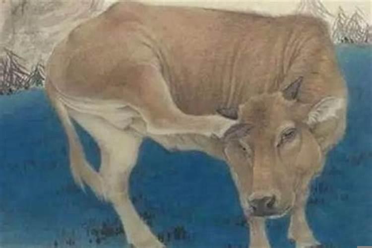 属牛适合开什么店