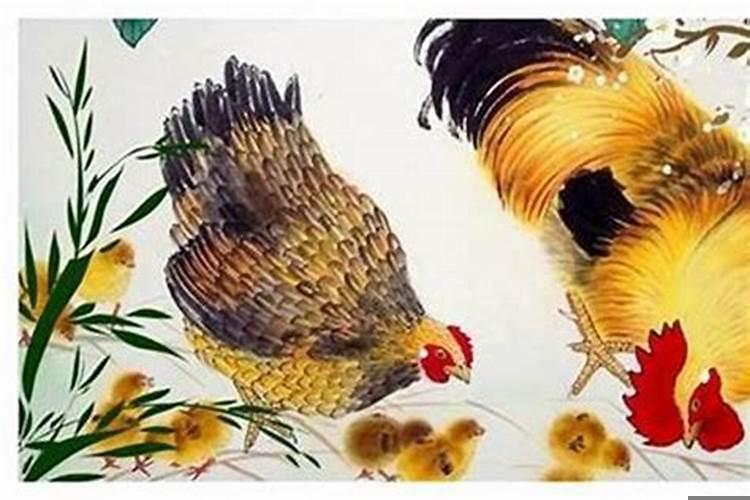 属鸡女人一生的命运与婚姻