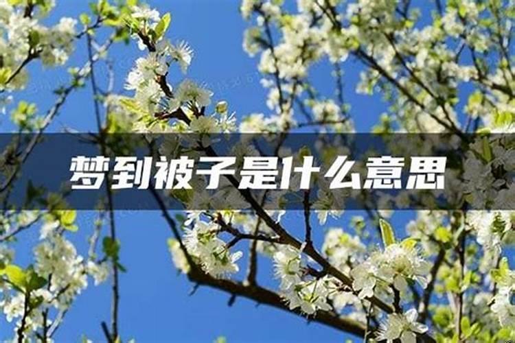 梦见自己的被子是什么意思