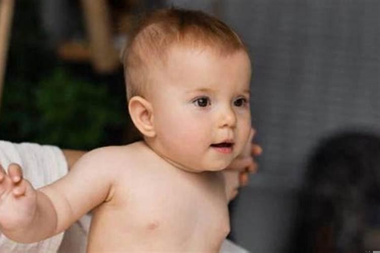 险指什么生肖动物