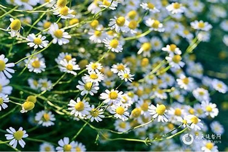 女命大运走劫财运特点