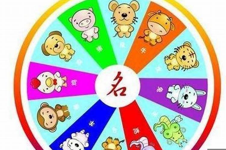 险指什么生肖动物