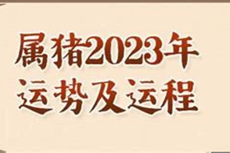 属猪的人2022年的运势及运程