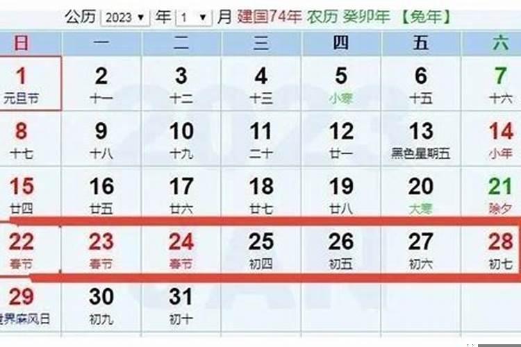2025年初一是几号