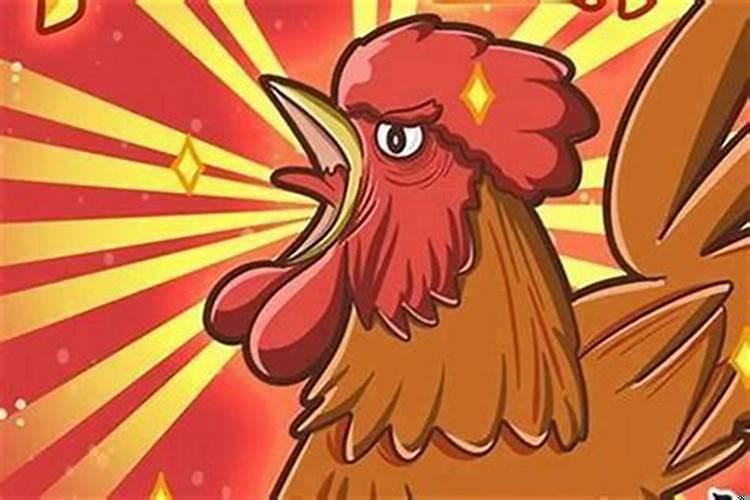 属鸡女人一生的命运与婚姻