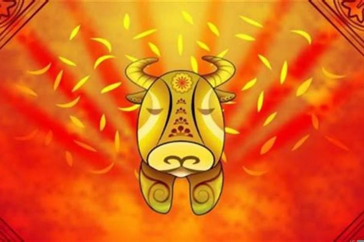 什么生肖心胸开阔