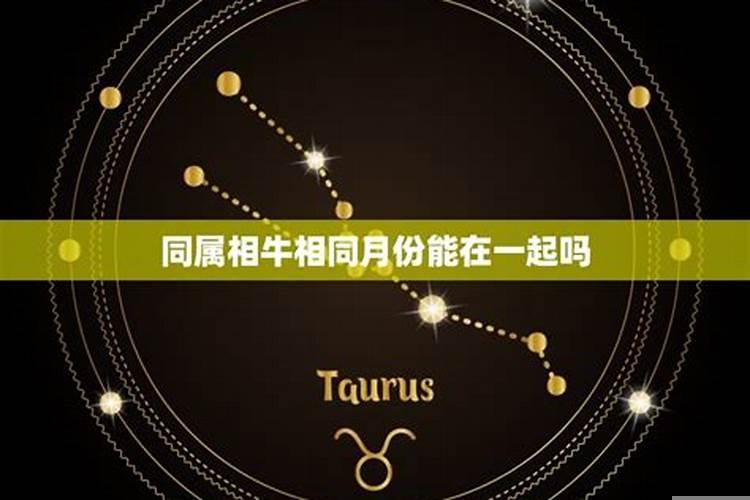 什么属相在一起最好