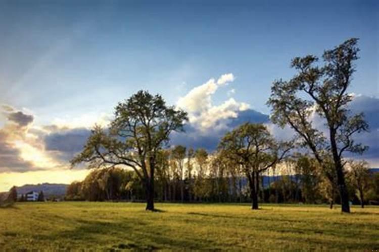 像个孩子的星座