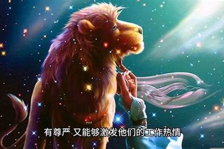 狮子座适合干什么工作