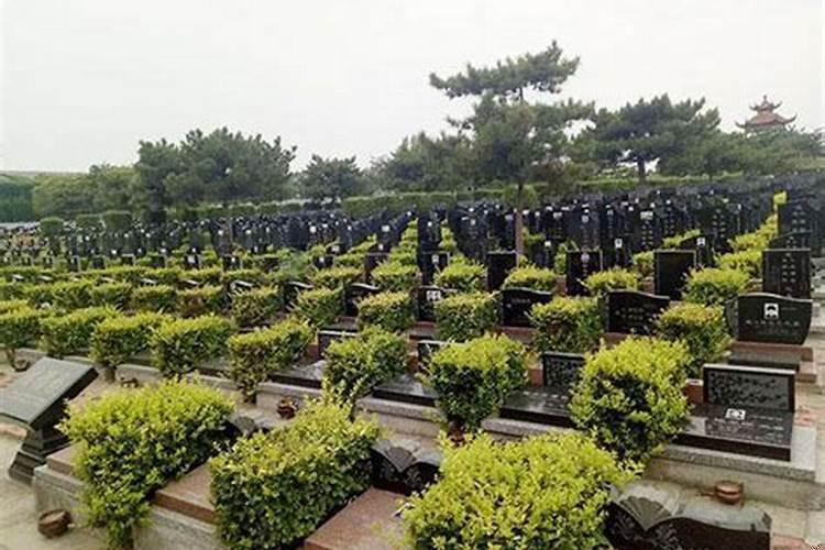 结婚后多久可以去亲人墓地拜