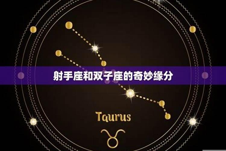 双子座与射手座配吗女生