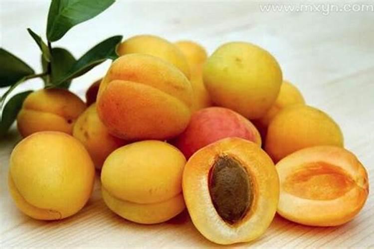 梦见有人在树上摘杏