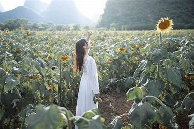 中年女性都在干什么