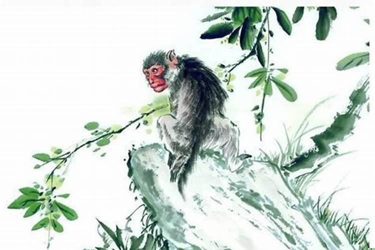 经常拍马屁打一生肖