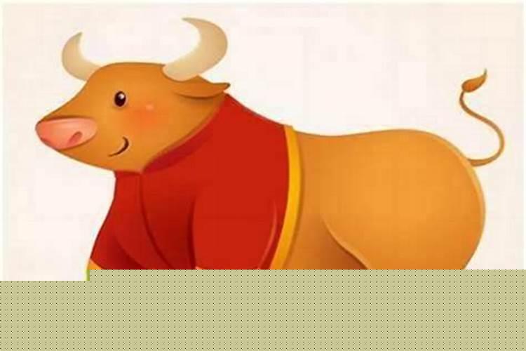 牛和虎的婚配属相好吗