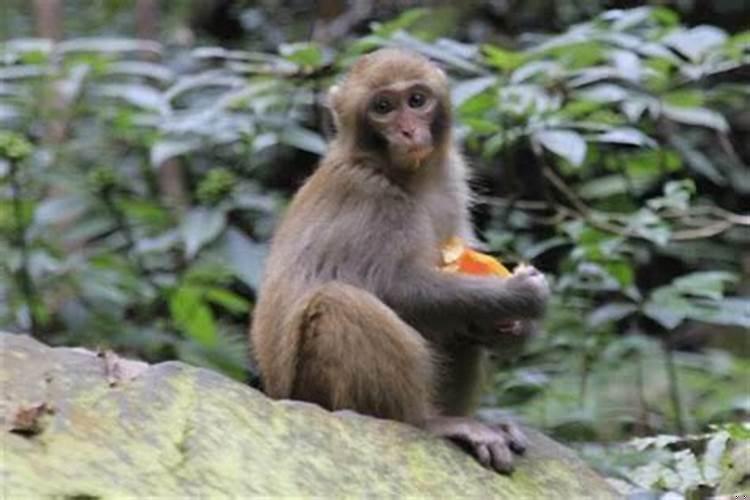 43年的人今年多少岁