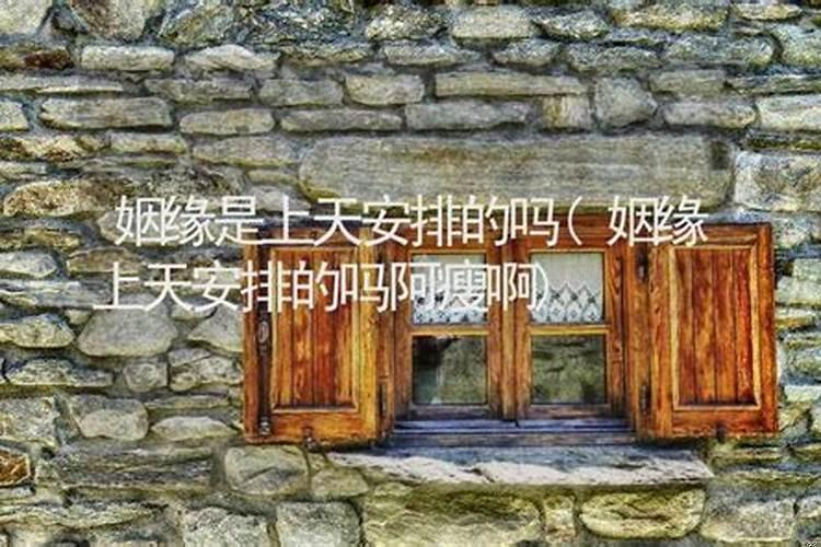 姻缘是不是上天注定的