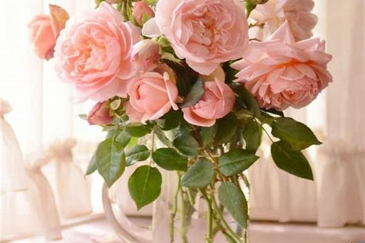 婚后最受宠的生肖女