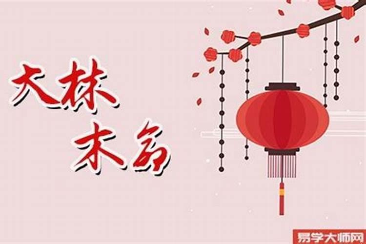 大林木命的人带什么旺财