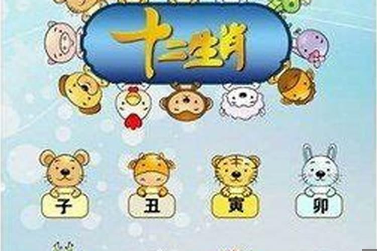 险指什么生肖动物