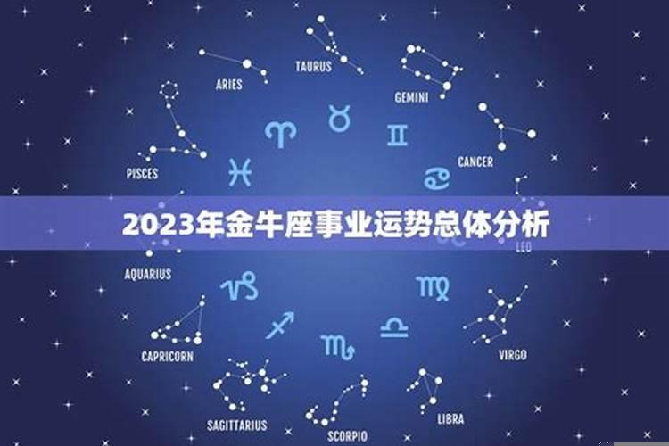 2025年金牛事业运