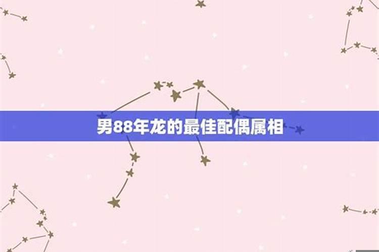属龙男的最佳婚配属相