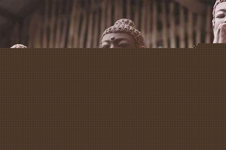 财运官什么意思