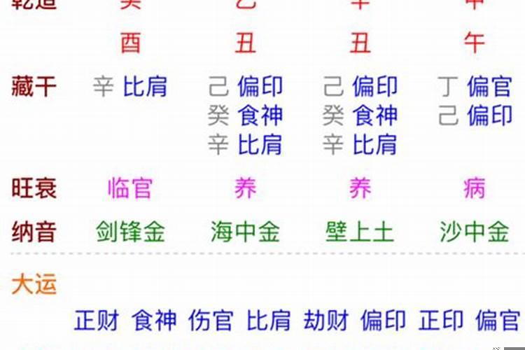 辛巳日柱男命运势如何看