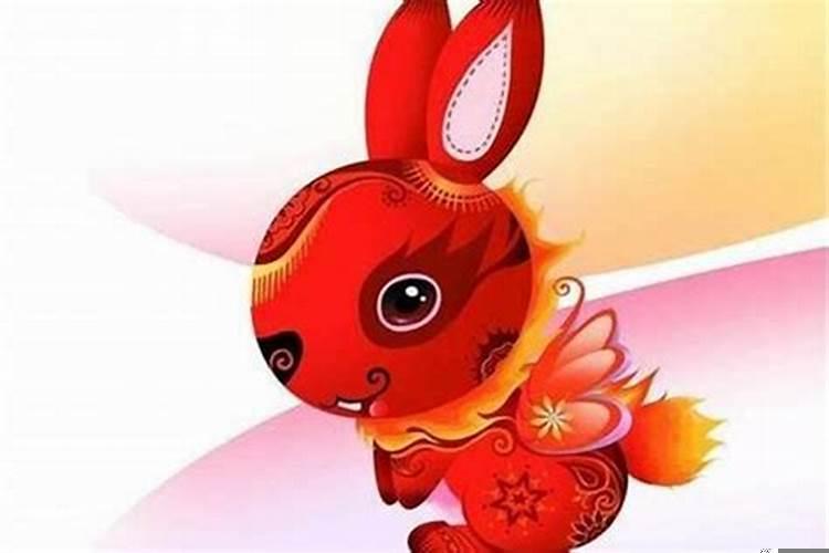 属兔的女孩性格和脾气