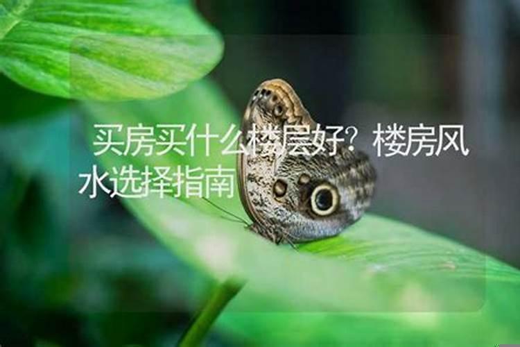 买房什么楼层风水好