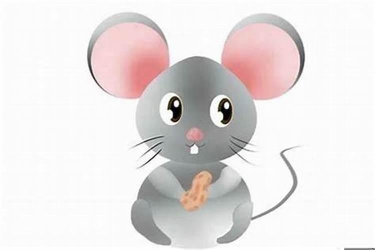 属鼠几月出生最好命运农历几月的怎样