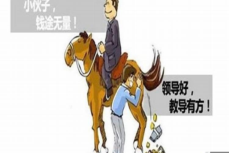 经常拍马屁打一生肖