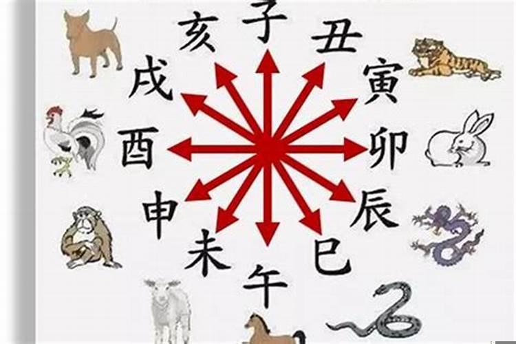 生肖相害化解方法