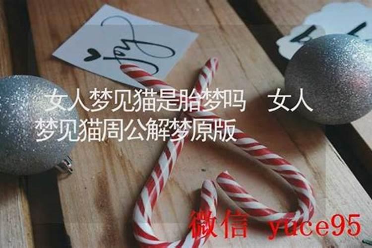 梦见妇女和猫在一起