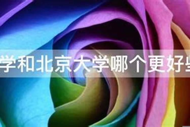 清华大学和北大哪个好