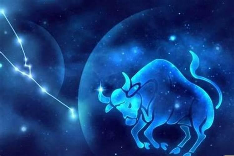 金牛座男生适合的工作