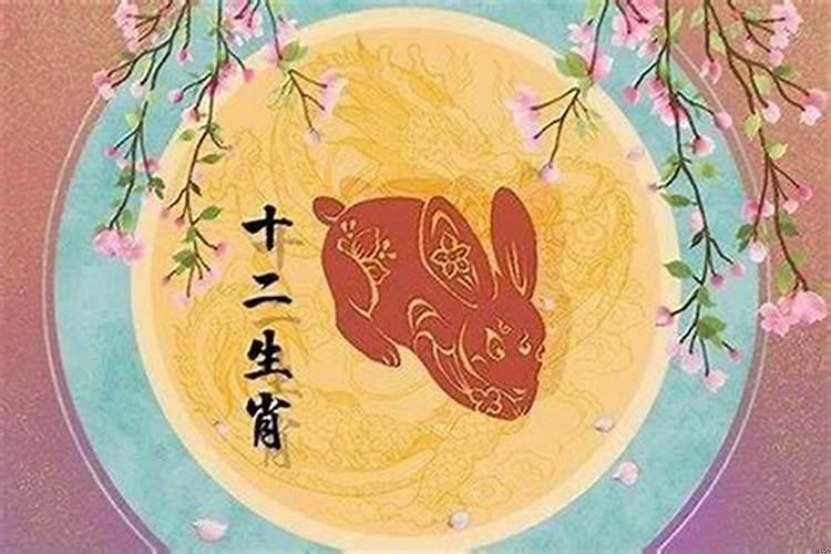 猴人与兔年好吗?