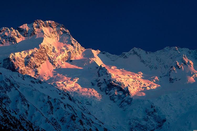 丁已月属什么生肖