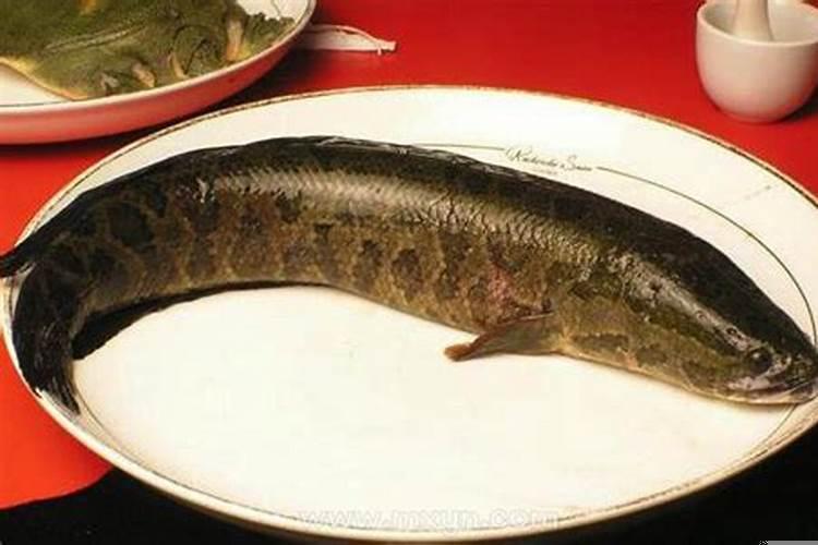 孕妇做梦黑鱼是什么意思