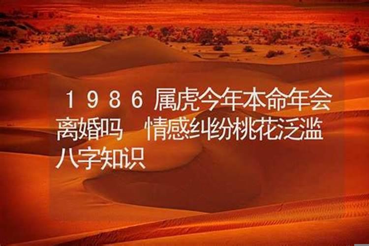 属虎2019年桃花劫