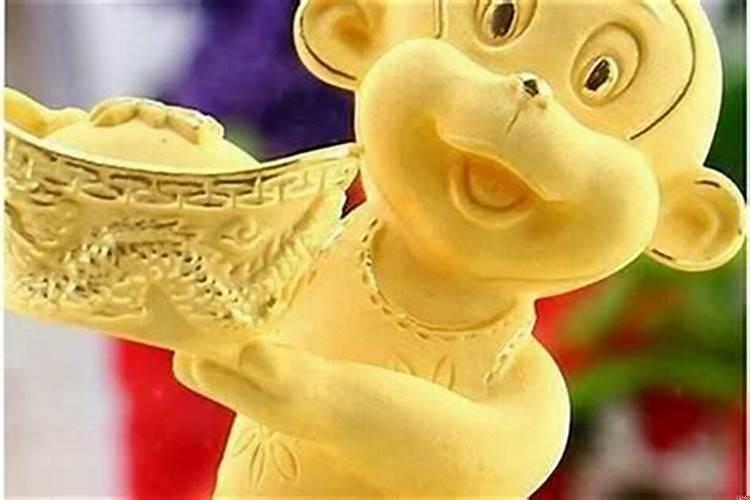 属猴的适合养什么花招财