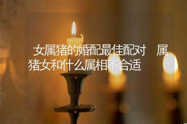 不合适的属相婚配