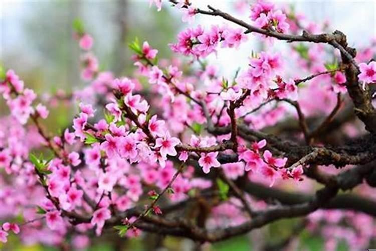 什么时候会有姻缘