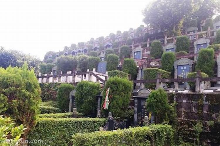 女人梦见坟墓有预兆