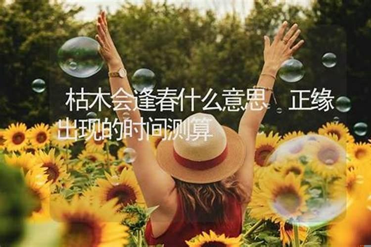 今天什么时候逢春