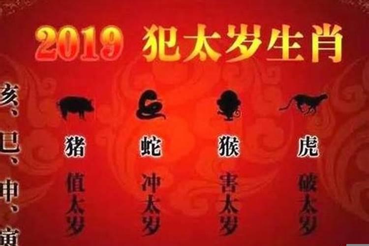 属蛇今年冲太岁怎么办