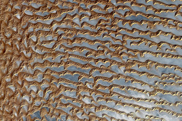 女子梦见发洪水是什么意思