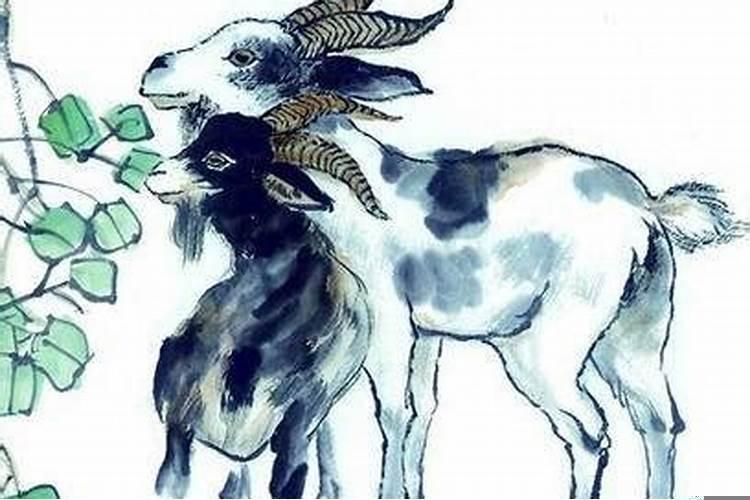 1967年属羊的人适合住几楼